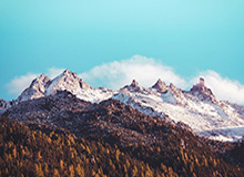 节目中连续近距离投篮打铁，丹尼-格林自嘲：这就是为啥我退役了